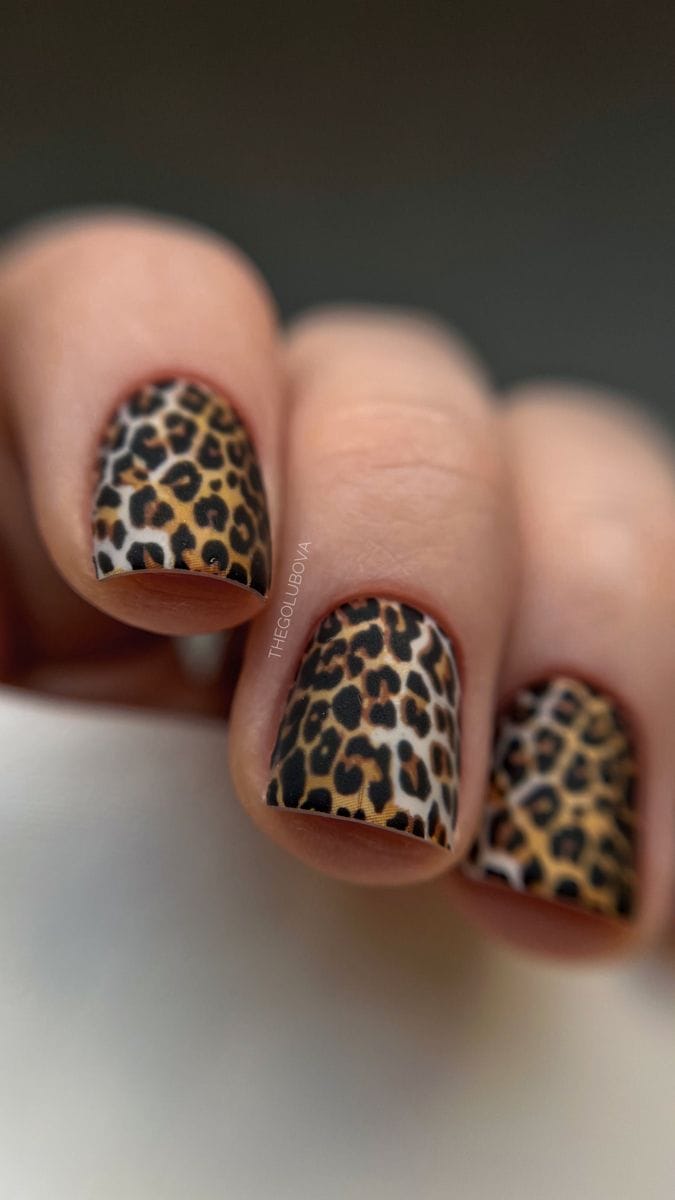 Animal Print nas Unhas: 7 Ideias de Nail Art que Transformam sua Manicure